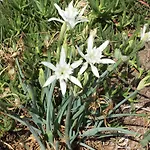 Bau Cannas * Muravera