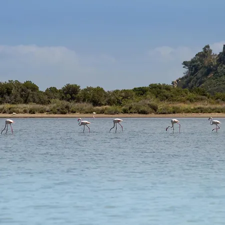 Bau Cannas Muravera
